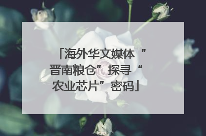 海外华文媒体“晋南粮仓”探寻“农业芯片”密码
