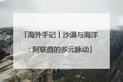 海外手记丨沙漠与海洋：阿联酋的多元脉动