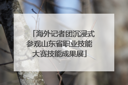 海外记者团沉浸式参观山东省职业技能大赛技能成果展
