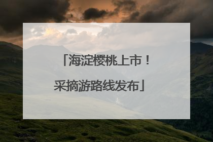 海淀樱桃上市！采摘游路线发布
