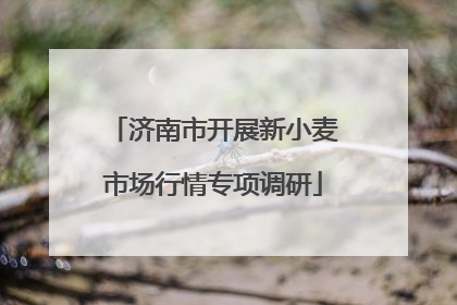 济南市开展新小麦市场行情专项调研
