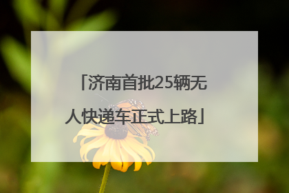 济南首批25辆无人快递车正式上路