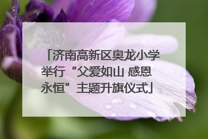 济南高新区奥龙小学举行“父爱如山 感恩永恒”主题升旗仪式