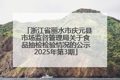 浙江省丽水市庆元县市场监督管理局关于食品抽检检验情况的公示2025年第3期