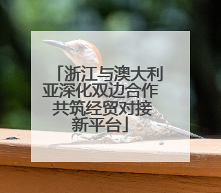 浙江与澳大利亚深化双边合作 共筑经贸对接新平台