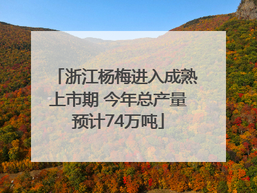 浙江杨梅进入成熟上市期 今年总产量预计74万吨