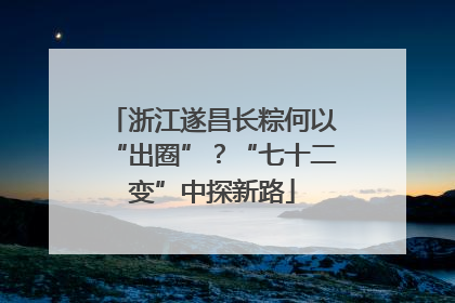 浙江遂昌长粽何以“出圈”？“七十二变”中探新路
