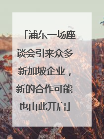 浦东一场座谈会引来众多新加坡企业，新的合作可能也由此开启