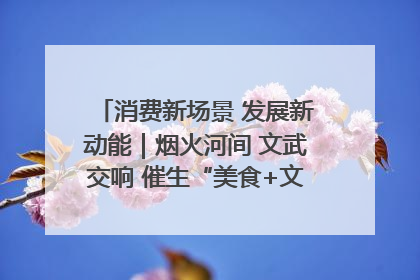 消费新场景 发展新动能｜烟火河间 文武交响 催生“美食+文化”消费新场景