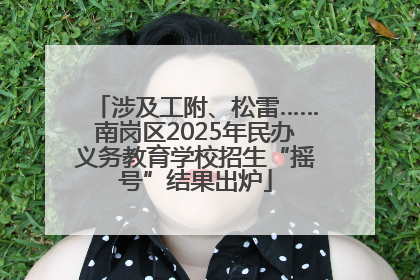 涉及工附、松雷……南岗区2025年民办义务教育学校招生“摇号”结果出炉