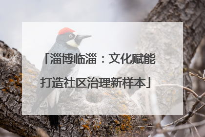 淄博临淄：文化赋能 打造社区治理新样本