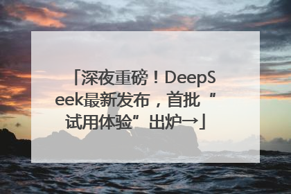深夜重磅！DeepSeek最新发布，首批“试用体验”出炉→