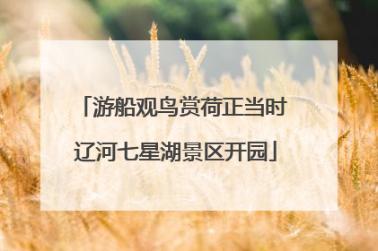 游船观鸟赏荷正当时 辽河七星湖景区开园