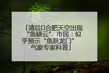 清晨﻿合肥天空出现“鱼鳞云” 市民：似乎预示“鱼跃龙门” 气象专家科普