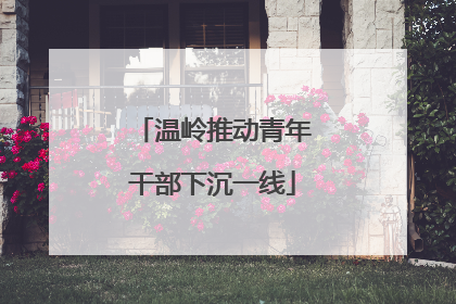 温岭推动青年干部下沉一线