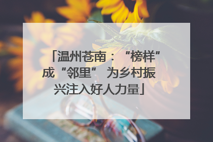 温州苍南：“榜样”成“邻里” 为乡村振兴注入好人力量
