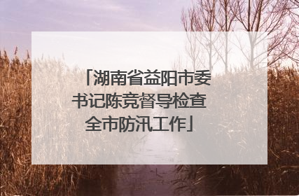 湖南省益阳市委书记陈竞督导检查全市防汛工作