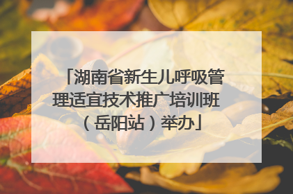 湖南省新生儿呼吸管理适宜技术推广培训班（岳阳站）举办