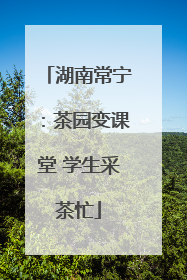 湖南常宁：茶园变课堂 学生采茶忙