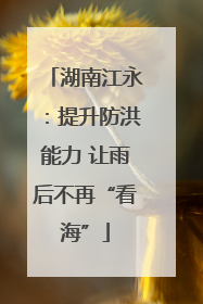 湖南江永：提升防洪能力 让雨后不再“看海”