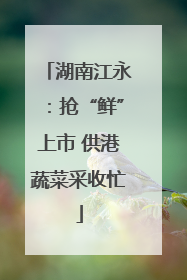 湖南江永：抢“鲜”上市 供港蔬菜采收忙