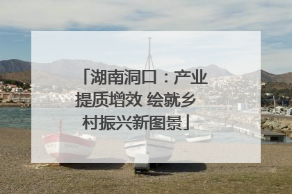 湖南洞口：产业提质增效 绘就乡村振兴新图景