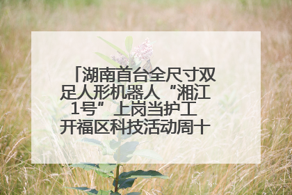 湖南首台全尺寸双足人形机器人“湘江1号”上岗当护工 开福区科技活动周十大科创项目签约