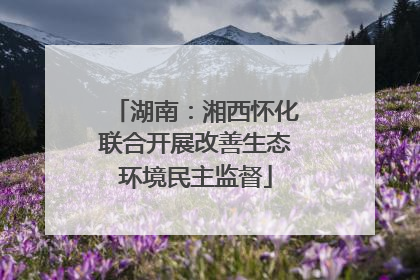 湖南：湘西怀化联合开展改善生态环境民主监督