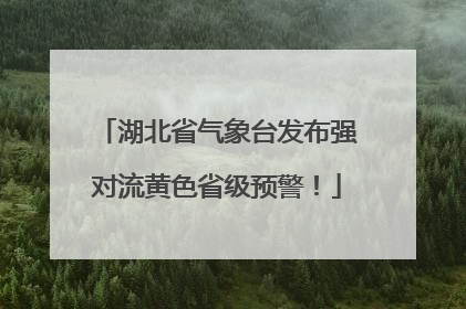 湖北省气象台发布强对流黄色省级预警！