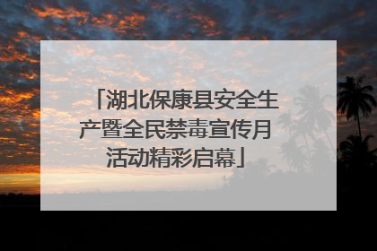 湖北保康县安全生产暨全民禁毒宣传月活动精彩启幕