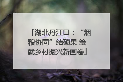湖北丹江口：“烟粮协同”结硕果 绘就乡村振兴新画卷