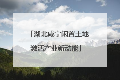 湖北咸宁闲置土地激活产业新动能