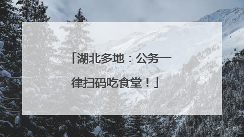 湖北多地：公务一律扫码吃食堂！