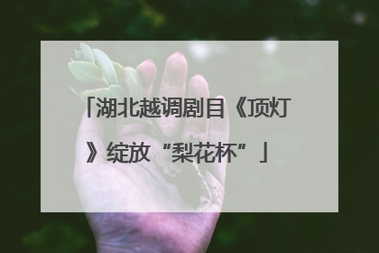 湖北越调剧目《顶灯》绽放“梨花杯”