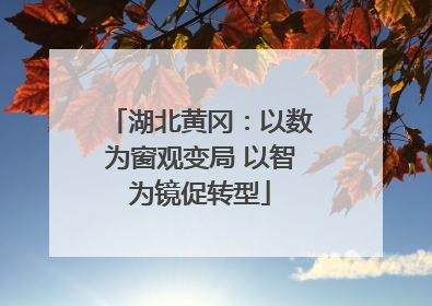 湖北黄冈：以数为窗观变局 以智为镜促转型