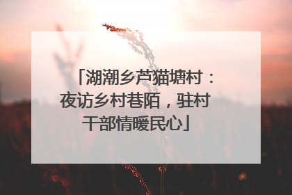 湖潮乡芦猫塘村：夜访乡村巷陌，驻村干部情暖民心