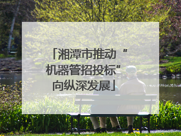 湘潭市推动“机器管招投标”向纵深发展