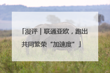 漫评｜联通亚欧，跑出共同繁荣“加速度”