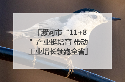 漯河市“11+8”产业链培育 带动工业增长领跑全省