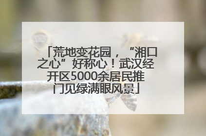 荒地变花园，“湘口之心”好称心！武汉经开区5000余居民推门见绿满眼风景