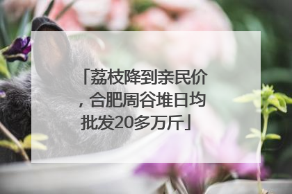 荔枝降到亲民价，合肥周谷堆日均批发20多万斤