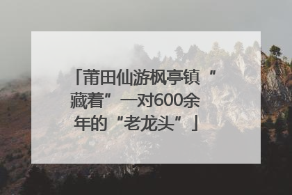 莆田仙游枫亭镇“藏着”一对600余年的“老龙头”