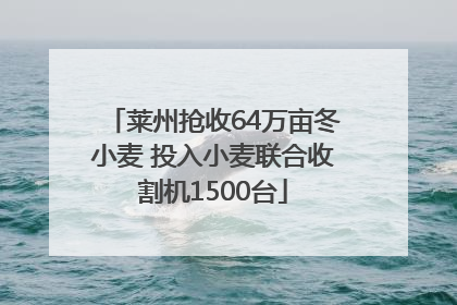 莱州抢收64万亩冬小麦 投入小麦联合收割机1500台