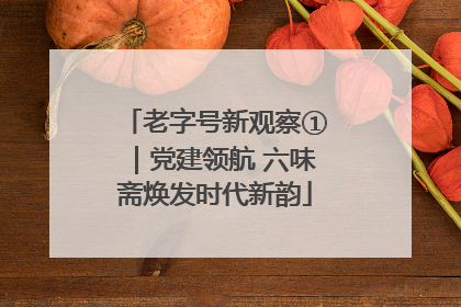 老字号新观察①｜党建领航 六味斋焕发时代新韵