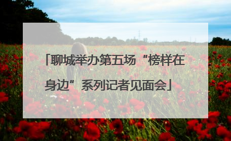 聊城举办第五场“榜样在身边”系列记者见面会