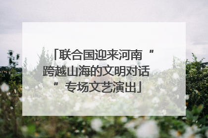 联合国迎来河南“跨越山海的文明对话”专场文艺演出