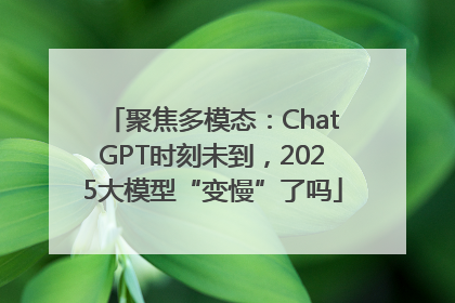 聚焦多模态：ChatGPT时刻未到，2025大模型“变慢”了吗