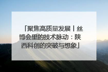 聚焦高质量发展丨丝博会里的技术脉动：陕西科创的突破与想象