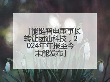 能链智电董事长转让团油科技，2024年年报至今未能发布