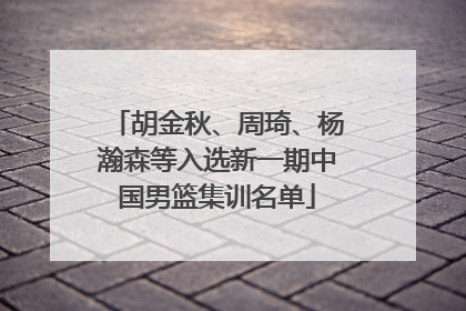 胡金秋、周琦、杨瀚森等入选新一期中国男篮集训名单